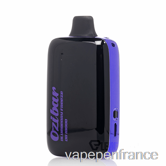 Stylo Jetable De Vape De Gel De Myrtille D'ozibar 18000